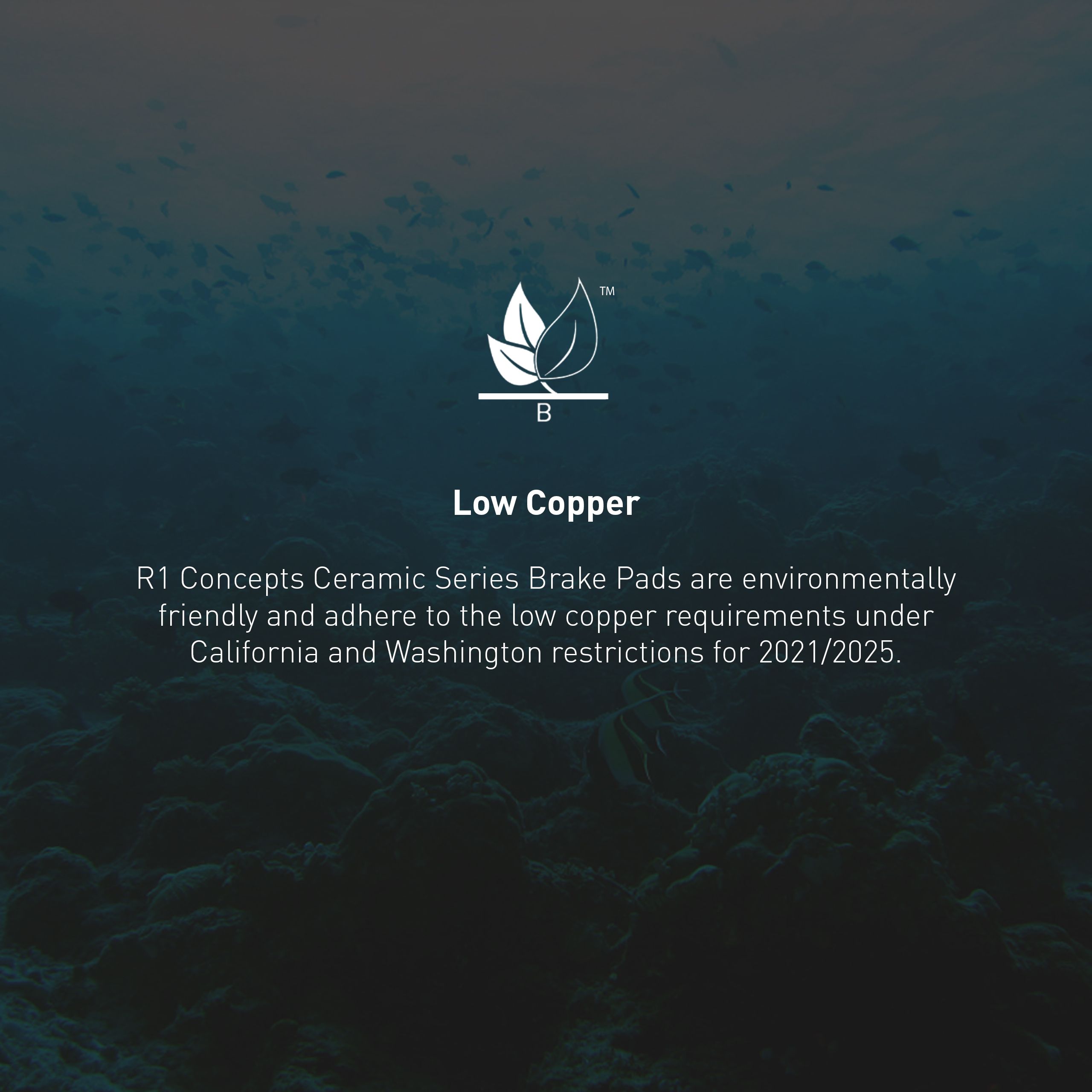 2001 Jeep Cherokee Sport Ceramic Pads